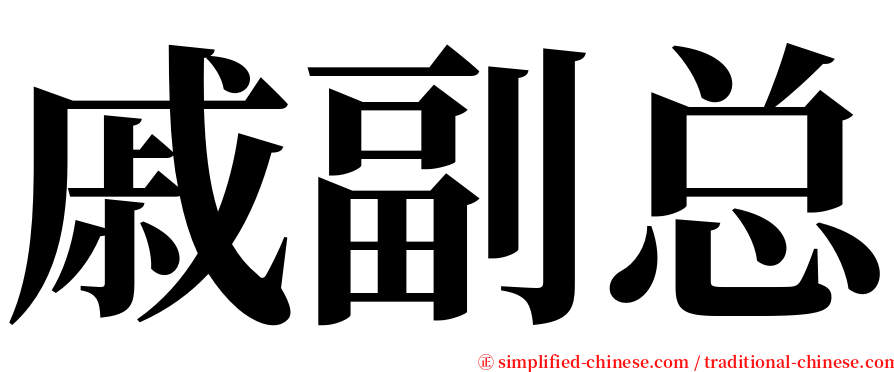 戚副总 serif font