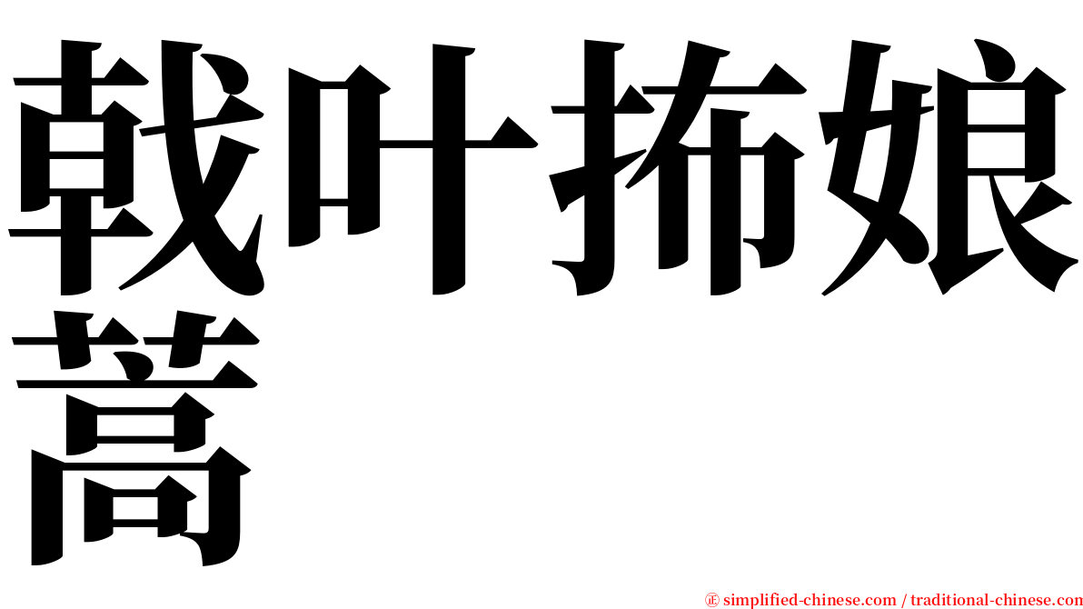 戟叶抪娘蒿 serif font