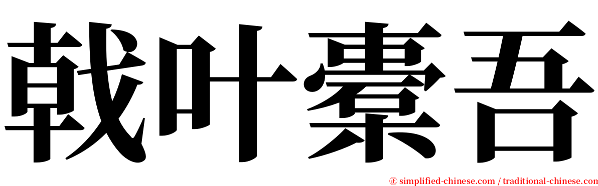 戟叶橐吾 serif font