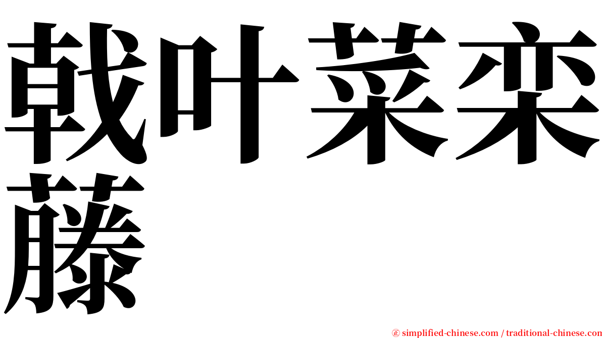 戟叶菜栾藤 serif font