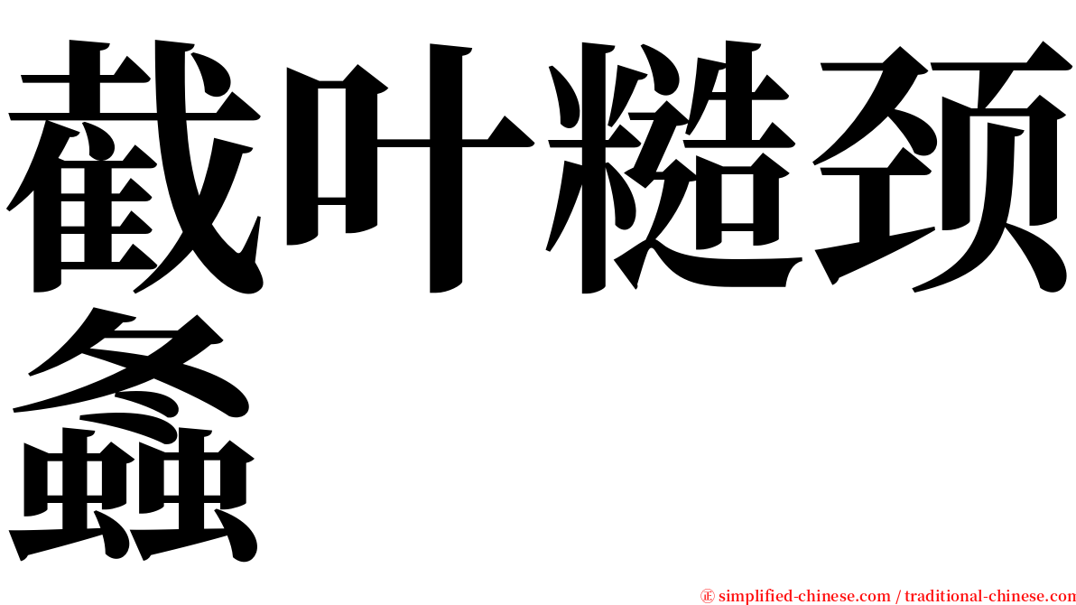 截叶糙颈螽 serif font