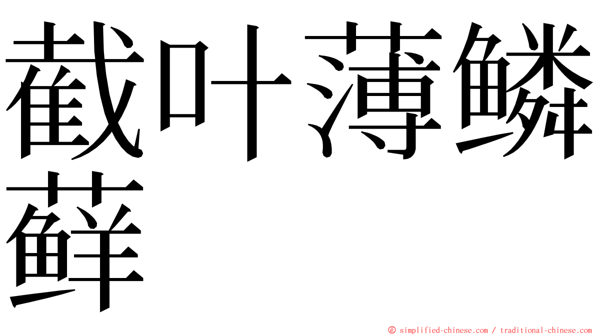 截叶薄鳞藓 ming font