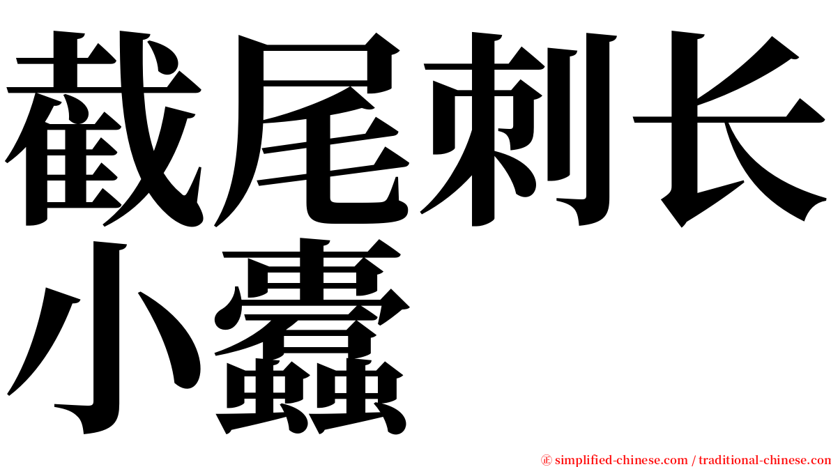 截尾刺长小蠹 serif font