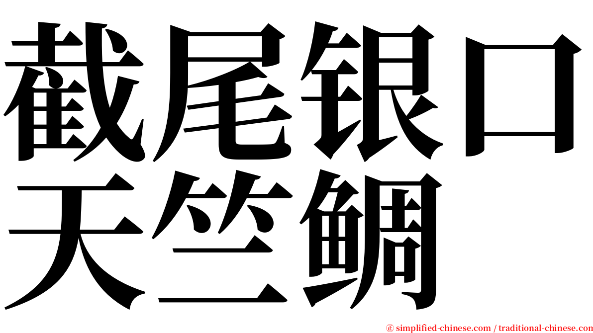 截尾银口天竺鲷 serif font