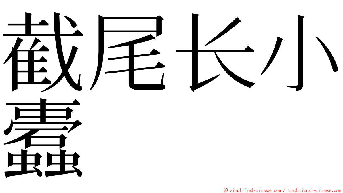 截尾长小蠹 ming font