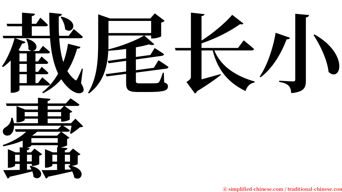 截尾长小蠹 serif font