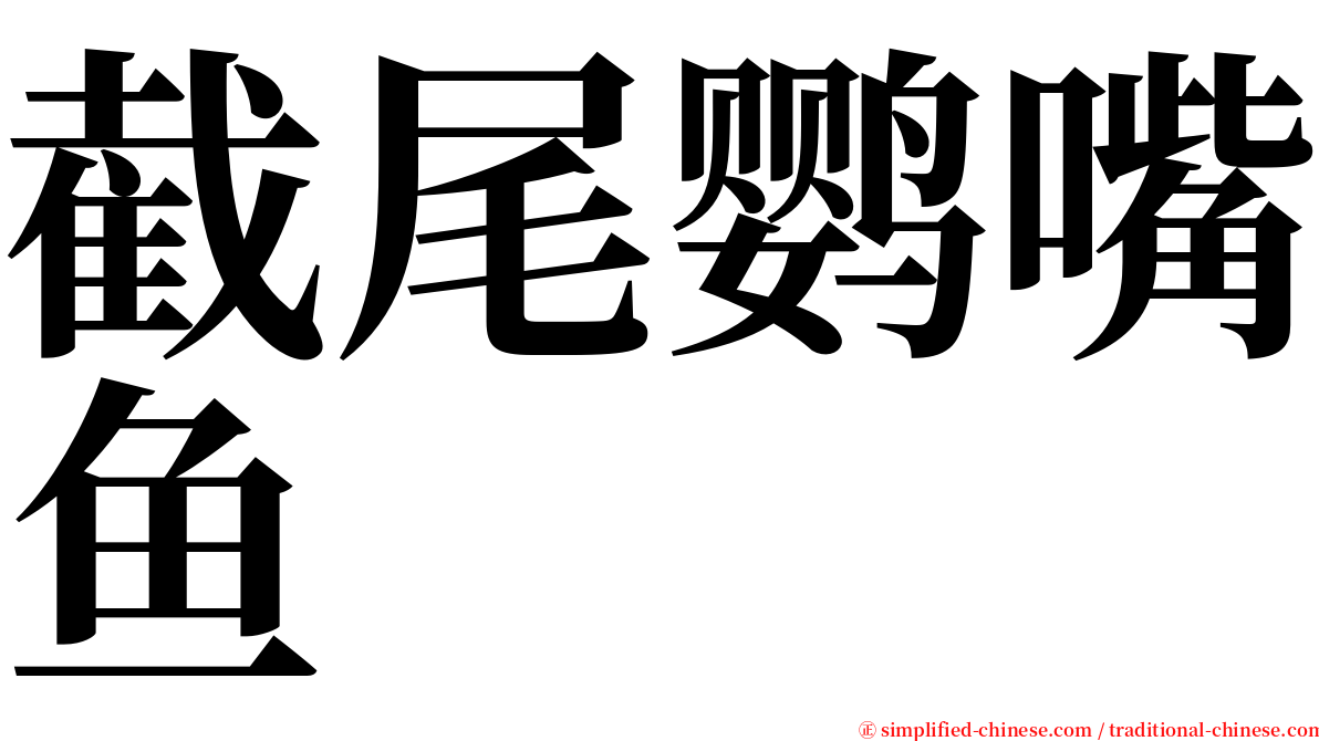 截尾鹦嘴鱼 serif font