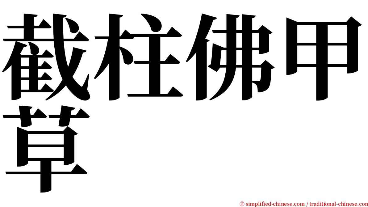 截柱佛甲草 serif font