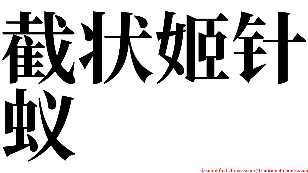 截状姬针蚁 serif font