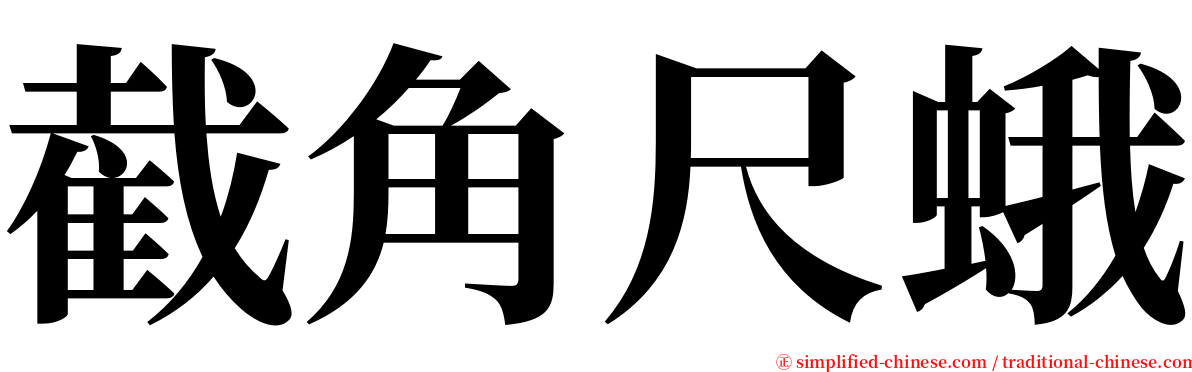 截角尺蛾 serif font