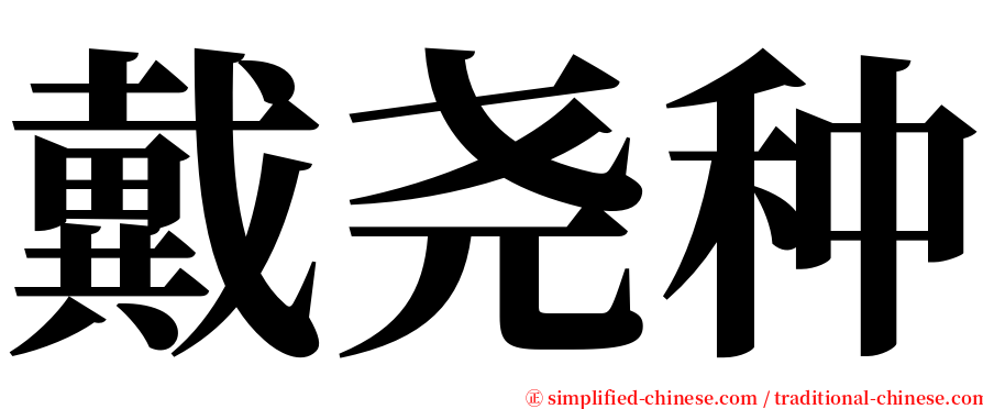 戴尧种 serif font