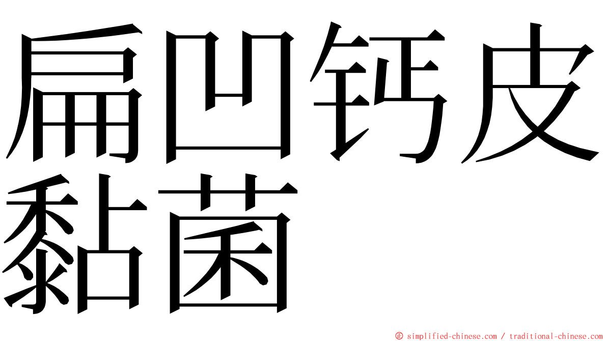 扁凹钙皮黏菌 ming font