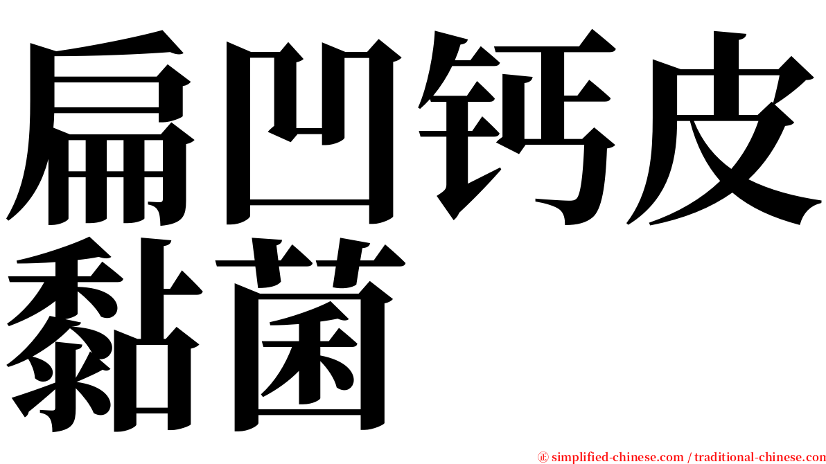 扁凹钙皮黏菌 serif font