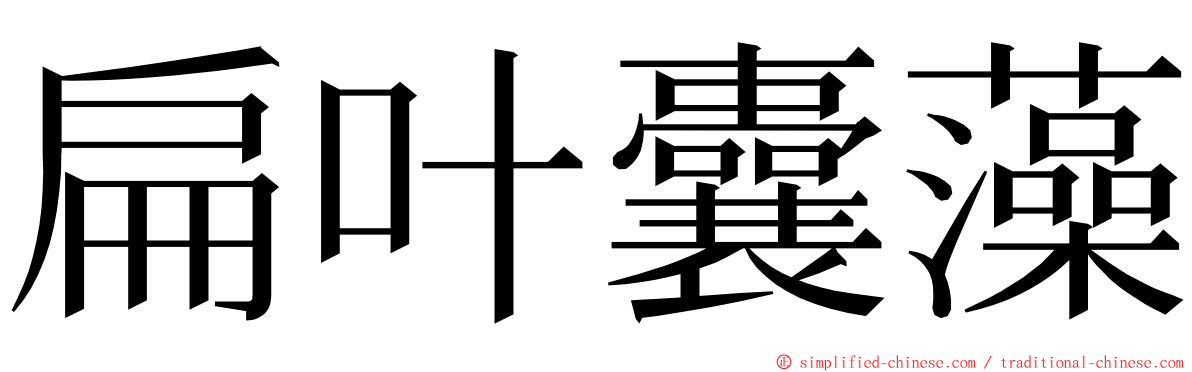 扁叶囊藻 ming font