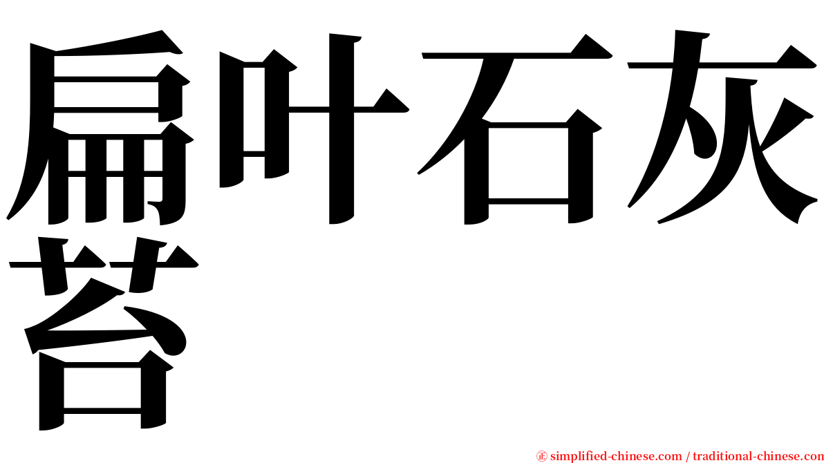 扁叶石灰苔 serif font