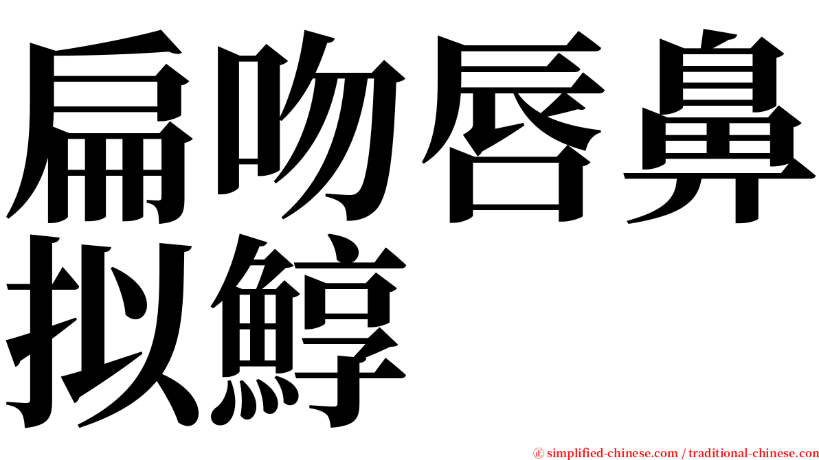 扁吻唇鼻拟鯙 serif font