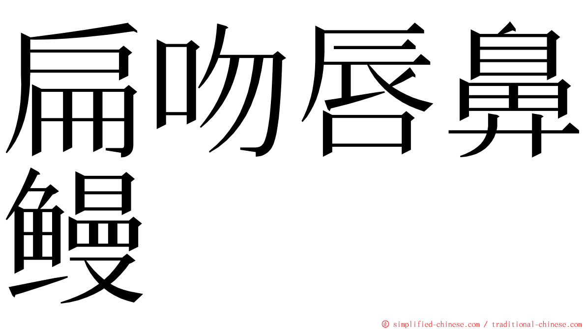 扁吻唇鼻鳗 ming font