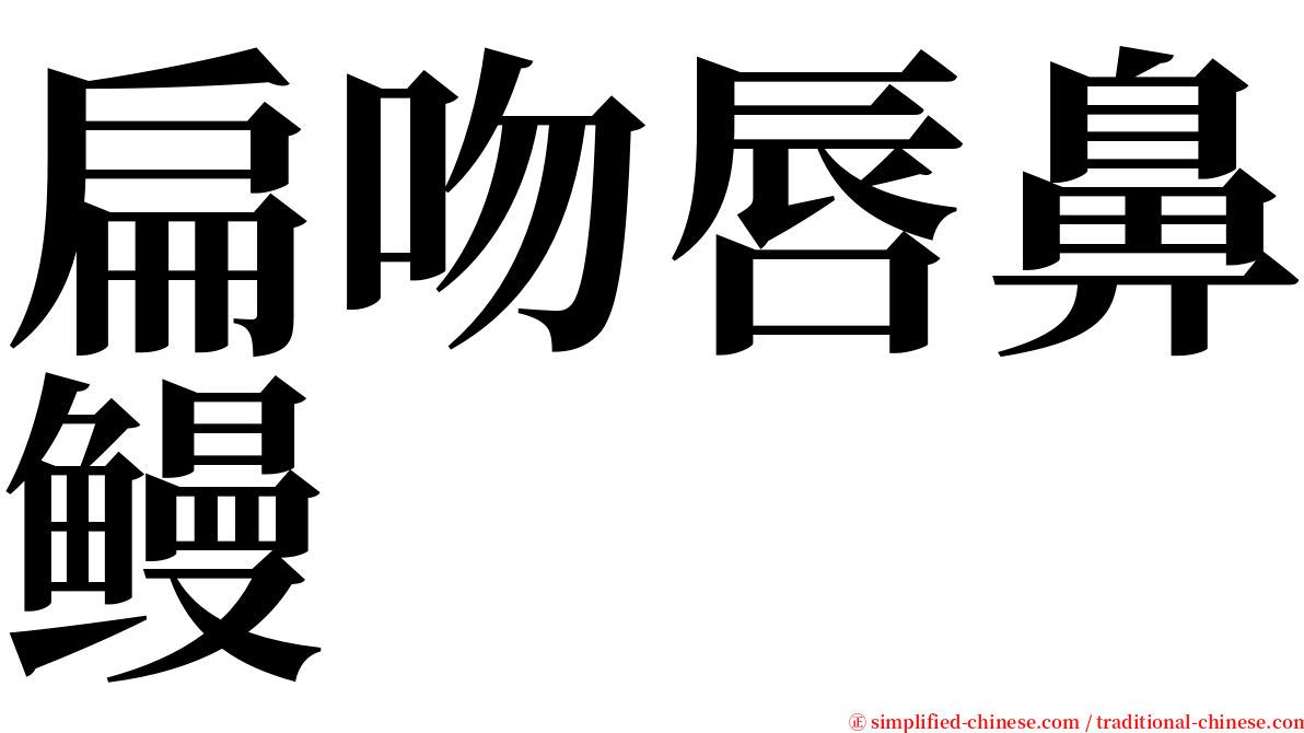 扁吻唇鼻鳗 serif font