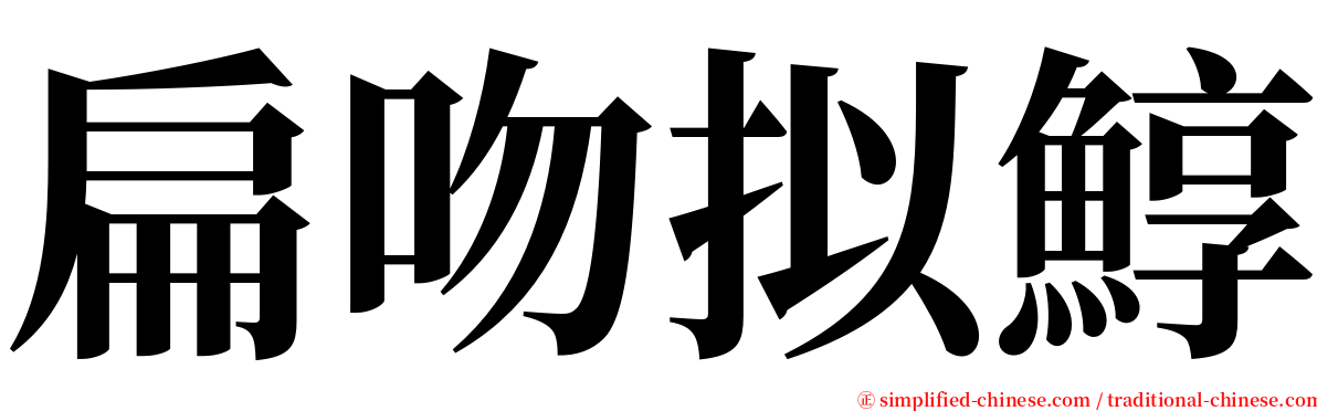 扁吻拟鯙 serif font