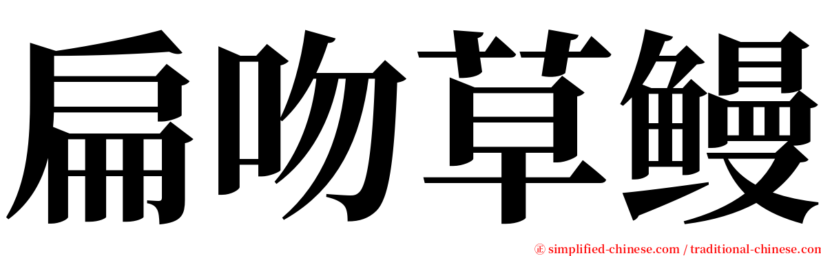 扁吻草鳗 serif font