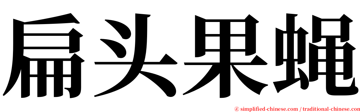 扁头果蝇 serif font