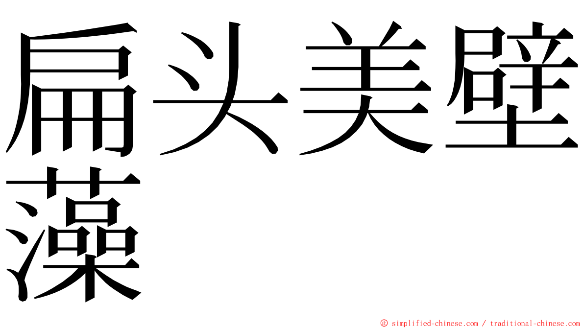 扁头美壁藻 ming font