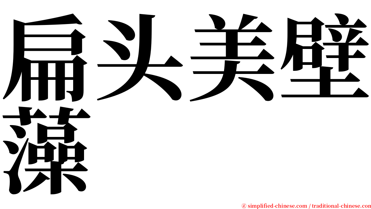 扁头美壁藻 serif font