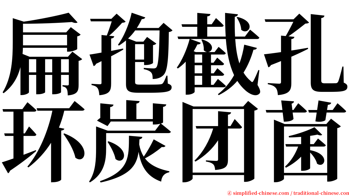 扁孢截孔环炭团菌 serif font