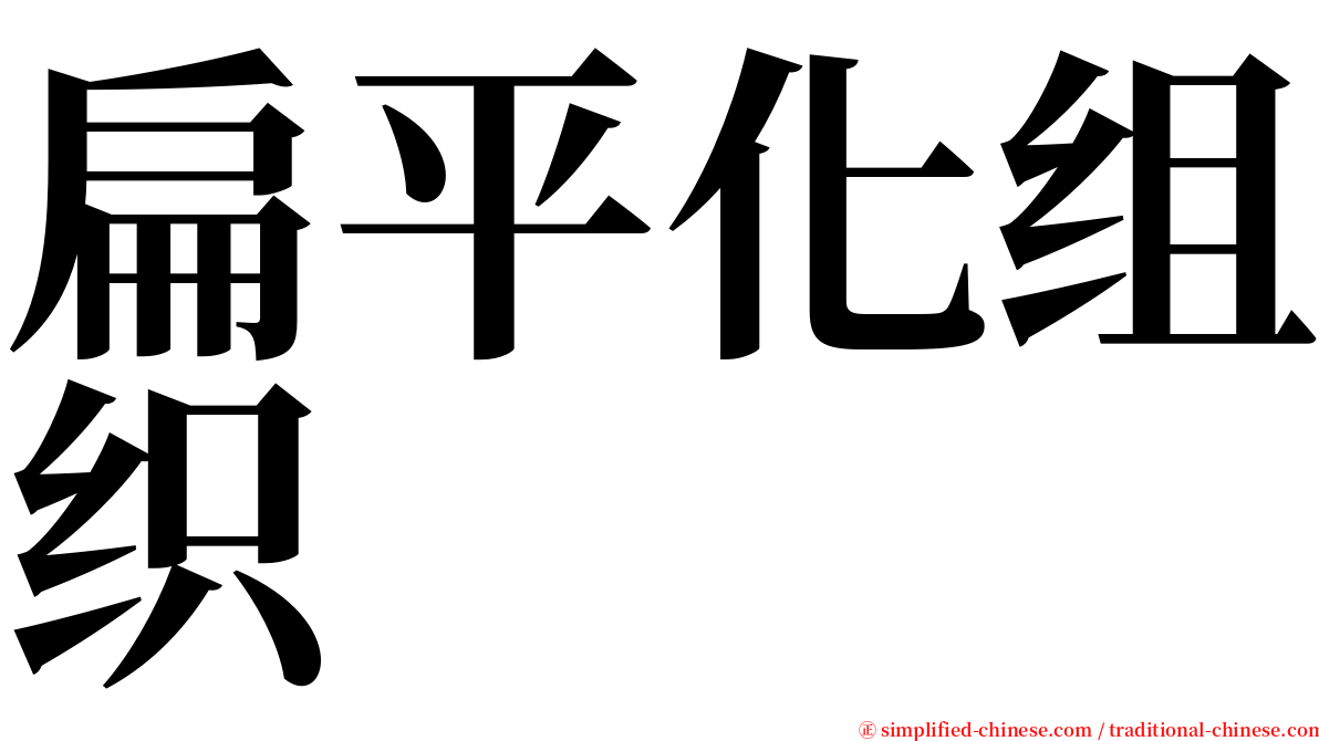 扁平化组织 serif font