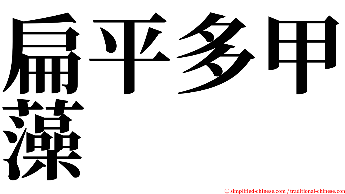 扁平多甲藻 serif font