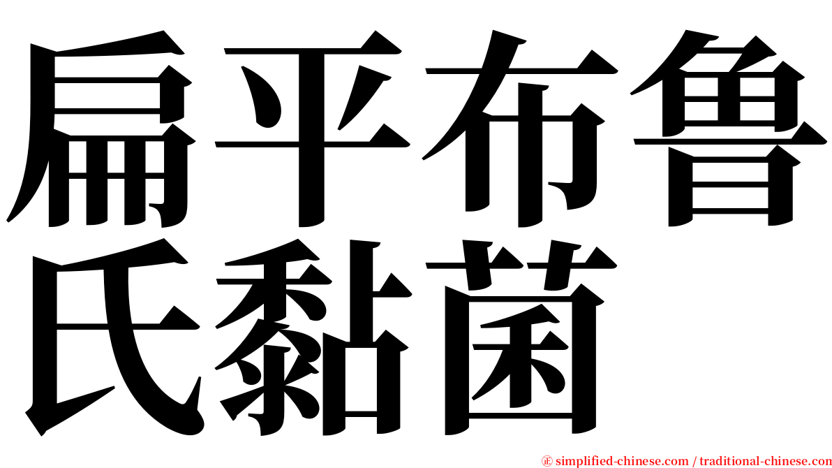 扁平布鲁氏黏菌 serif font