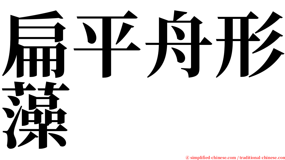 扁平舟形藻 serif font