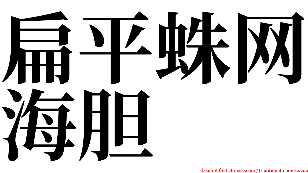 扁平蛛网海胆 serif font