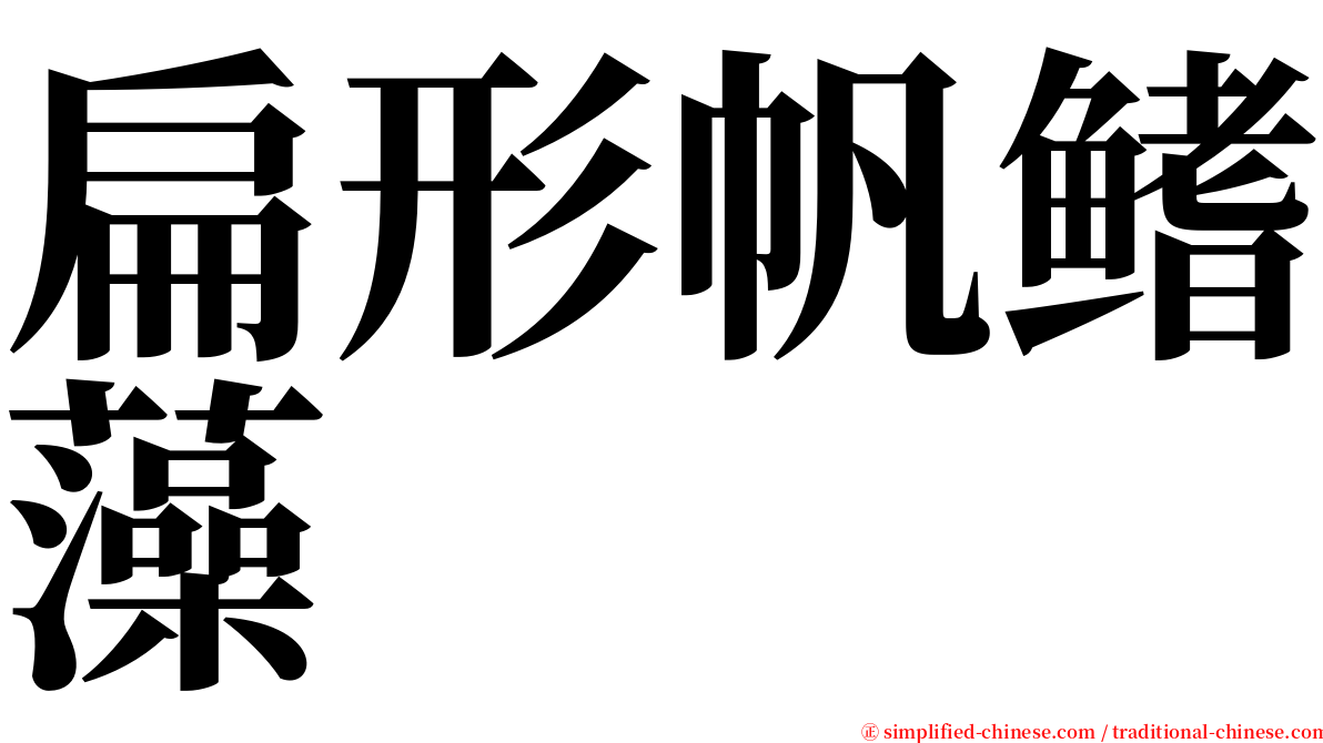 扁形帆鳍藻 serif font