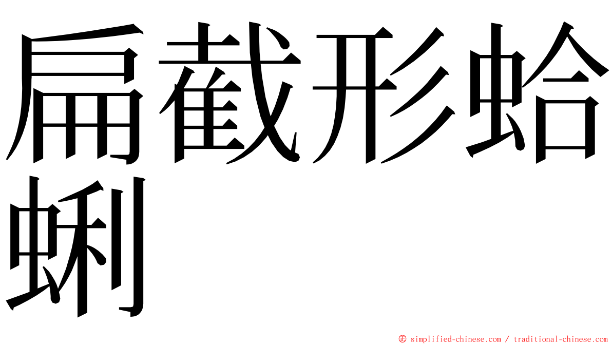 扁截形蛤蜊 ming font