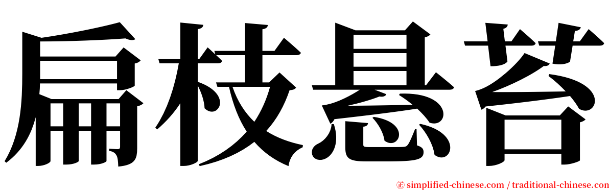 扁枝悬苔 serif font