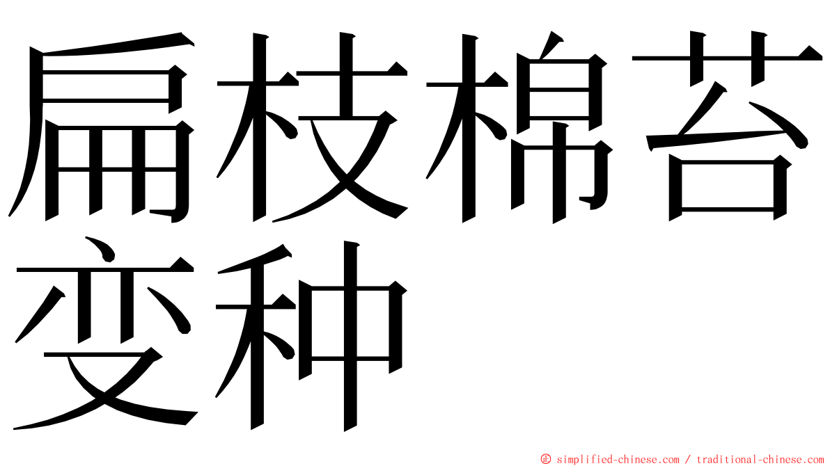 扁枝棉苔变种 ming font