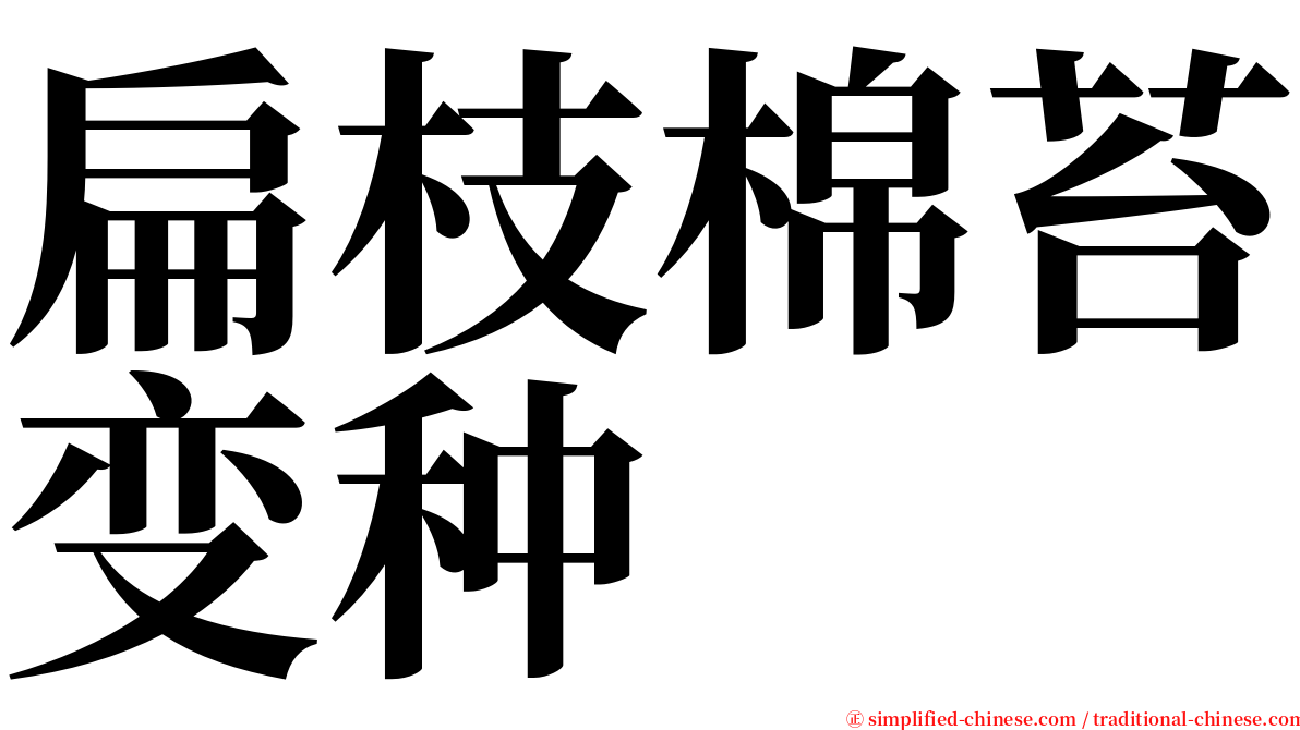 扁枝棉苔变种 serif font