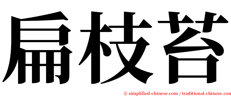 扁枝苔 serif font