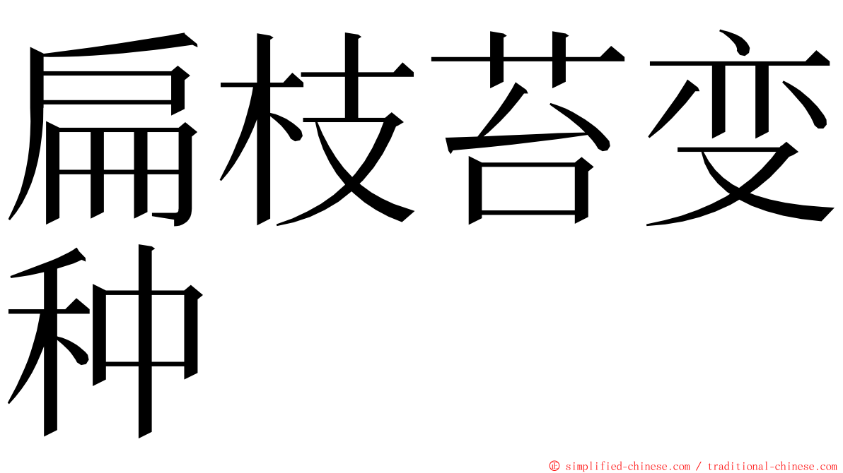 扁枝苔变种 ming font