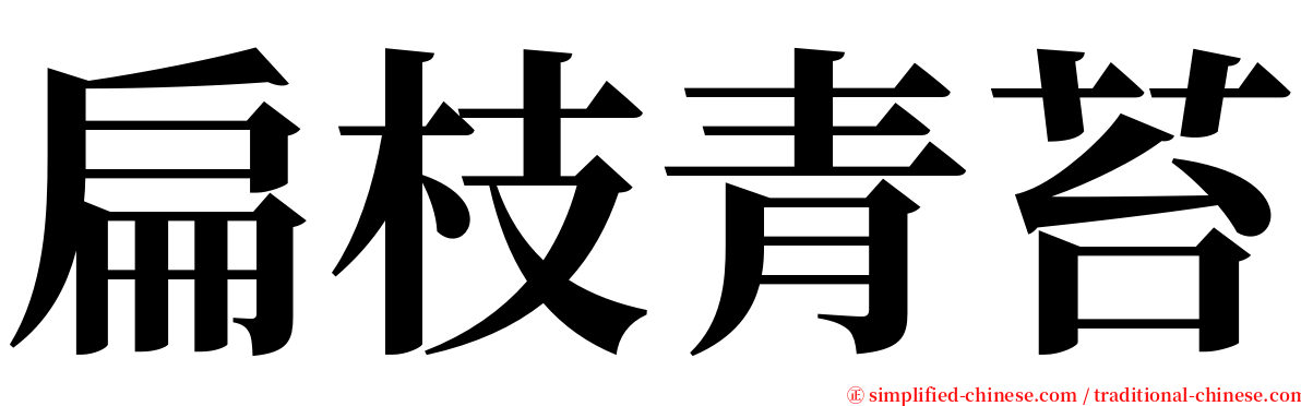 扁枝青苔 serif font