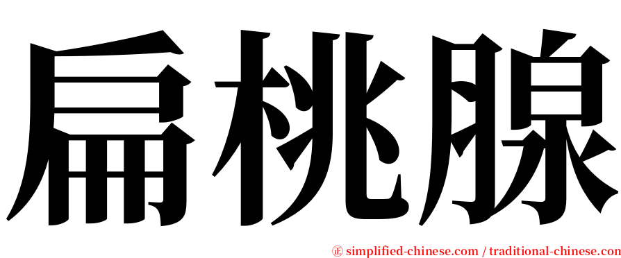 扁桃腺 serif font