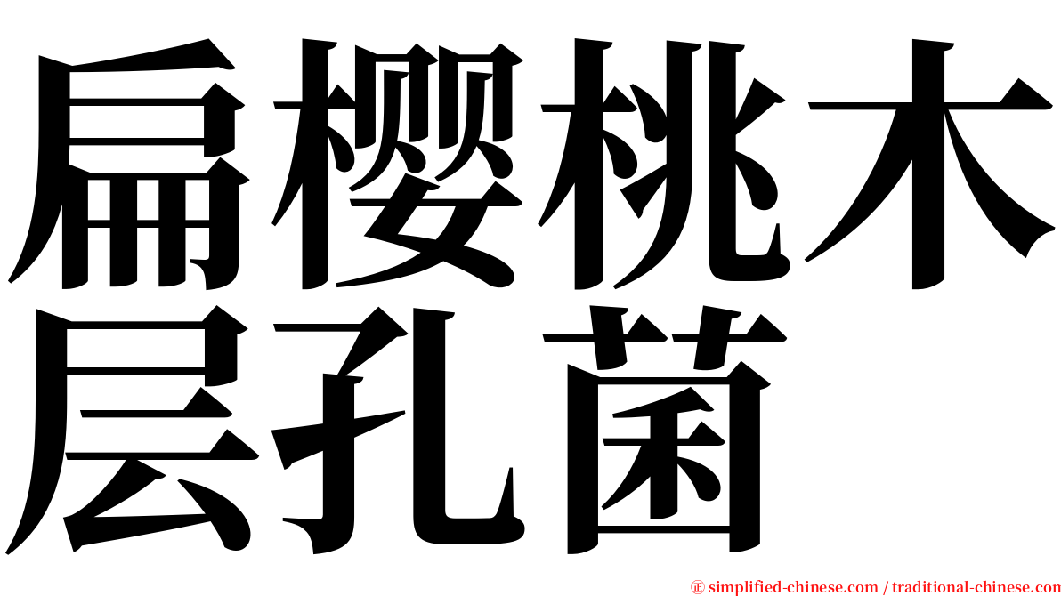 扁樱桃木层孔菌 serif font