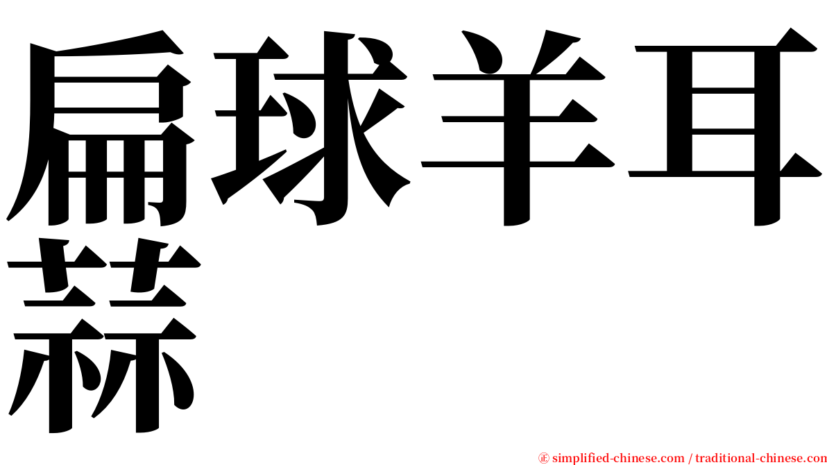 扁球羊耳蒜 serif font