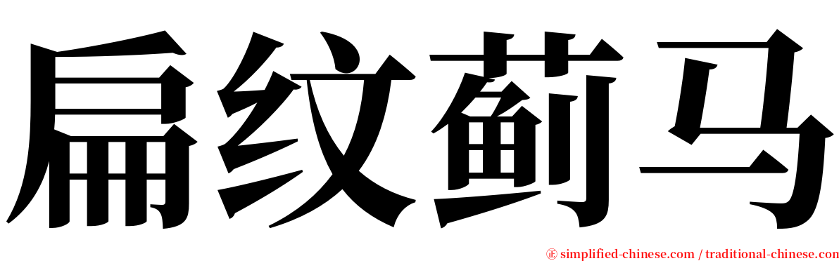 扁纹蓟马 serif font