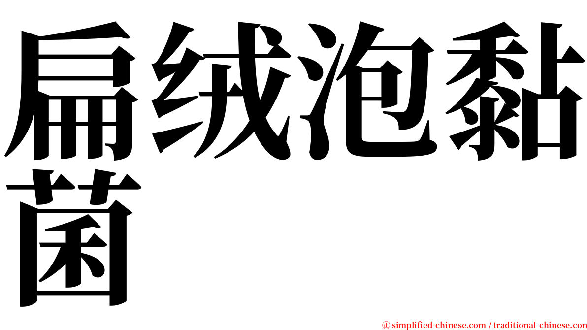 扁绒泡黏菌 serif font