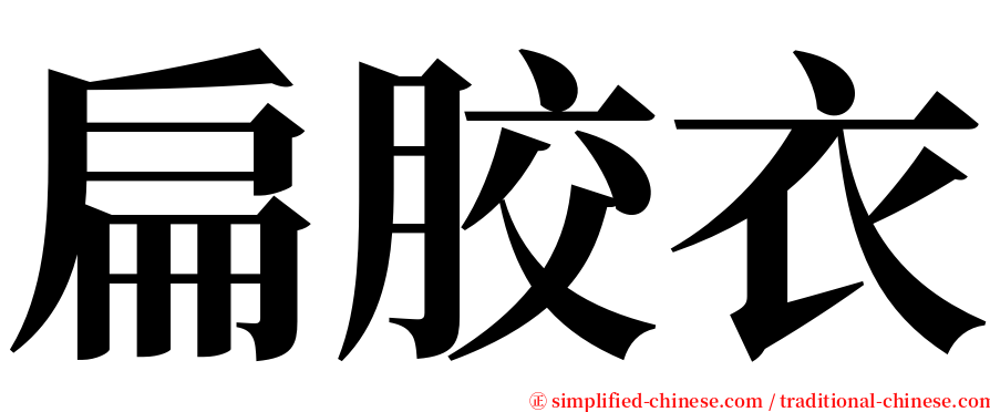 扁胶衣 serif font