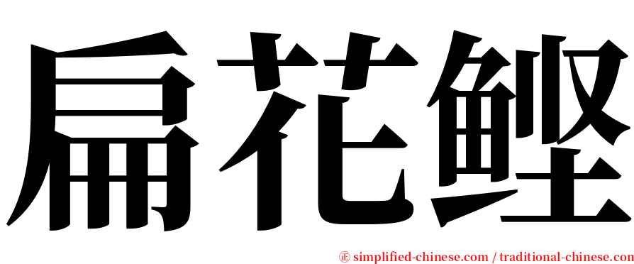 扁花鲣 serif font