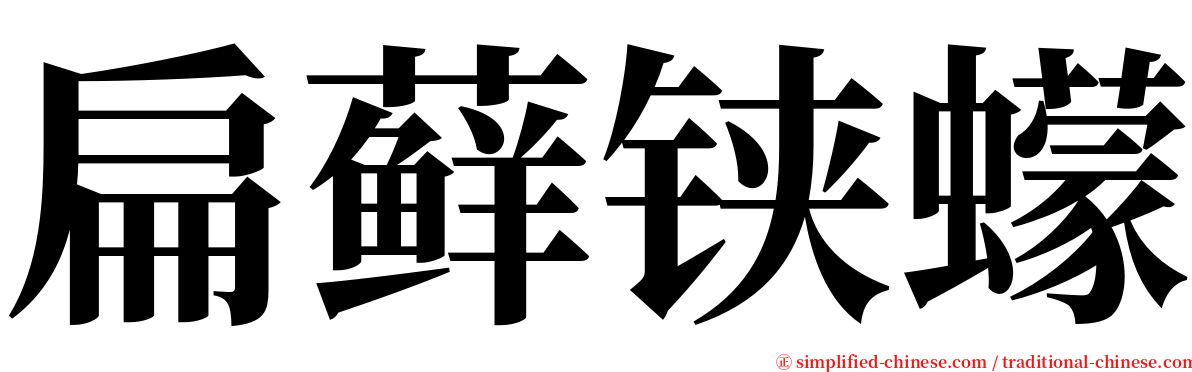 扁藓铗蠓 serif font