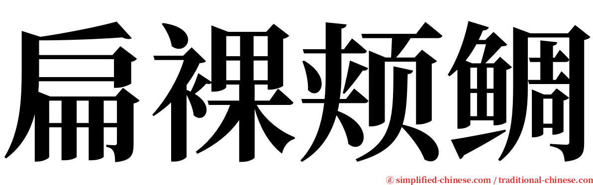 扁裸颊鲷 serif font